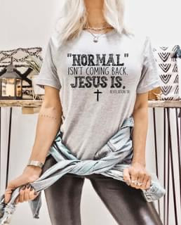 Normal isn’t coming back Jesus is